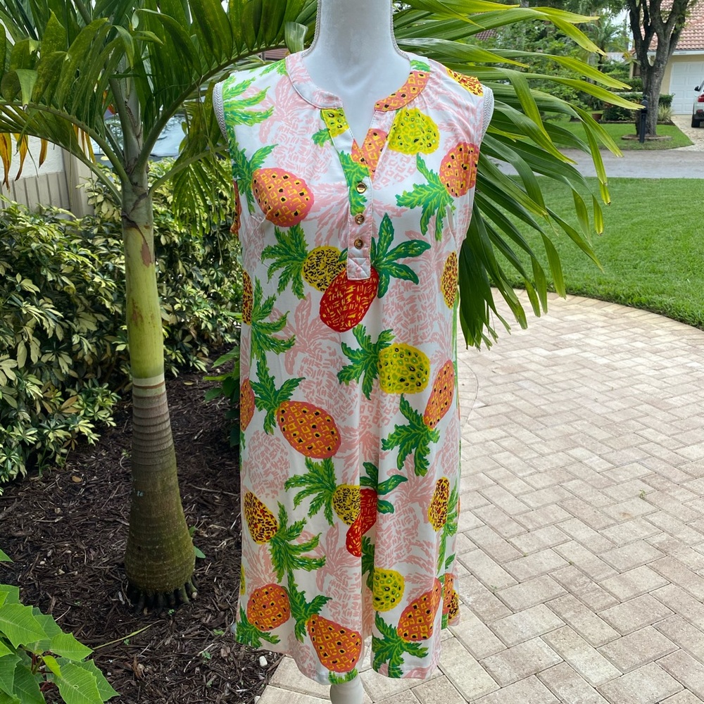 Thyme + HoneyPineapple dress size large